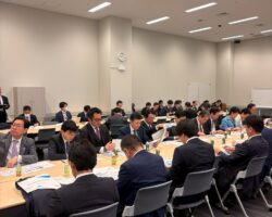 電気工事議員連盟、国防部会、法務部会、自民党青年局