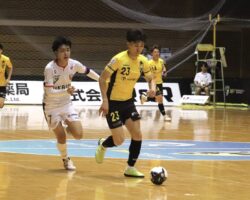 活動報告 5月も終わり