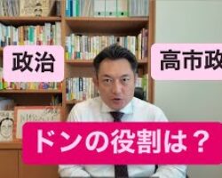 【政治におけるドンの役割】