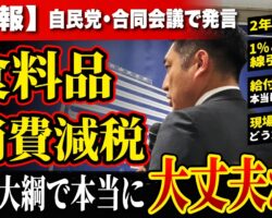 【速報】食料品消費税1％ 政府原案がついに提示｜自民党会議で私が指摘した問題点