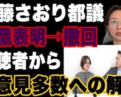 さとうさおり都議についてご意見多数